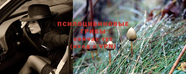 прущие грибы Алексин