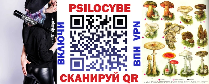 Псилоцибиновые грибы GOLDEN TEACHER  сколько стоит  Каргат 